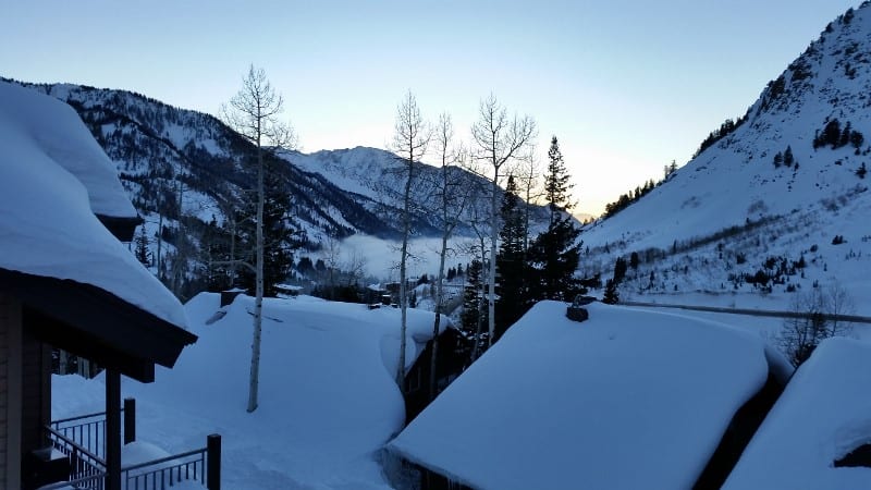 Foggy winter morning.